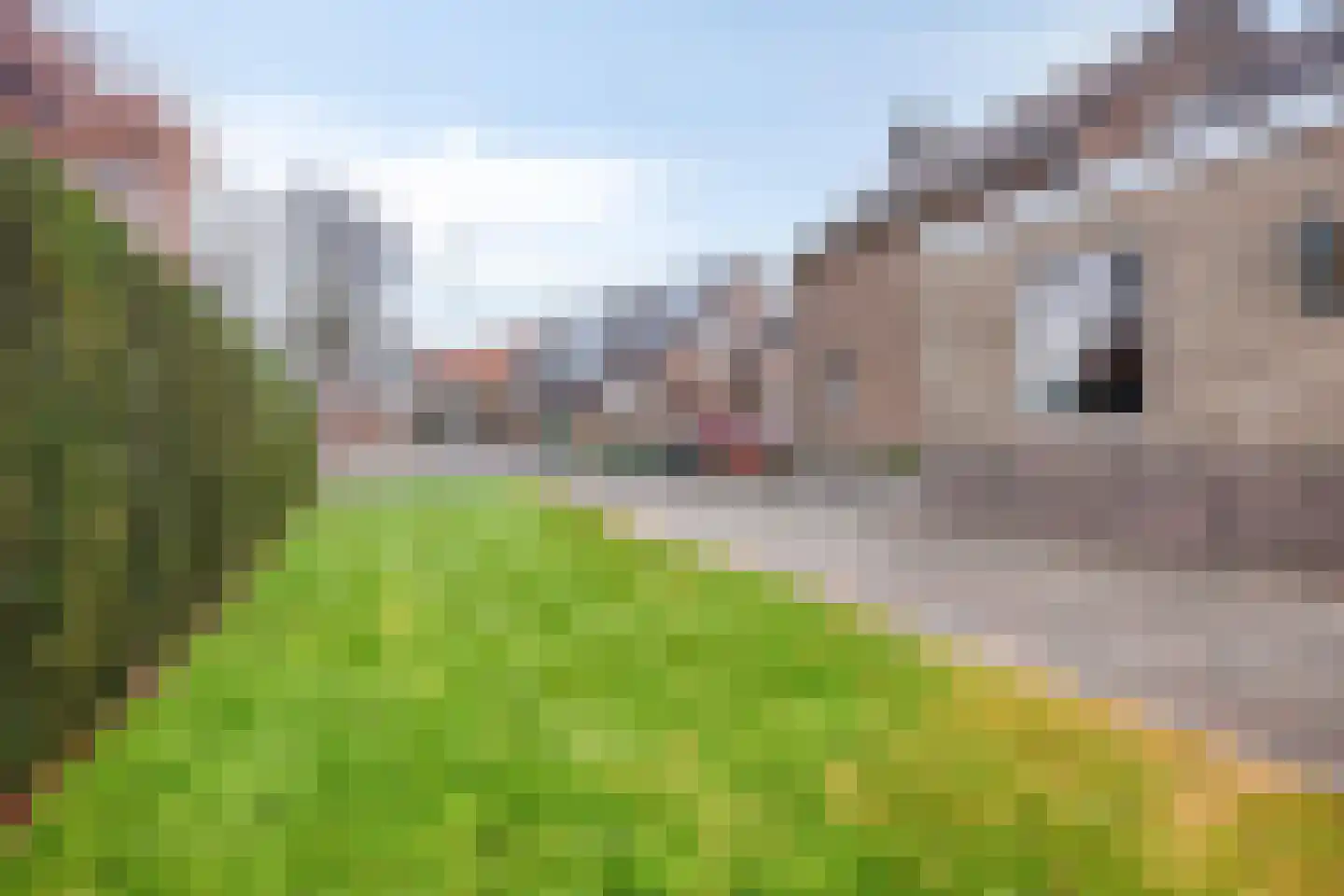 Peter Mullensweg 7 Hulsberg thumbnail 35