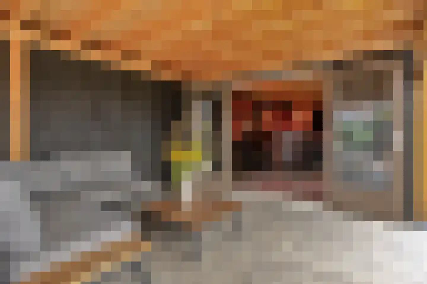 Peter Paul Rubenslaan 9 Musselkanaal thumbnail 6