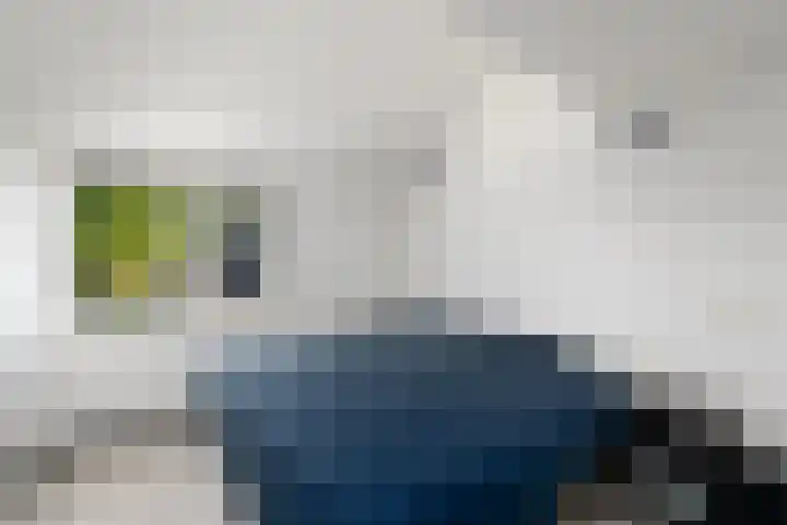 Peter Paulus Rubensstraat 27 Wolvega thumbnail 12