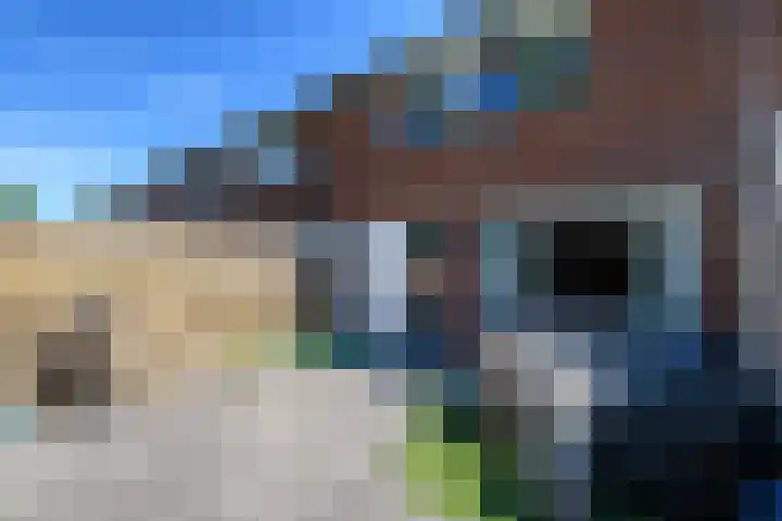 Peter Paulus Rubensstraat 27 Wolvega thumbnail 21