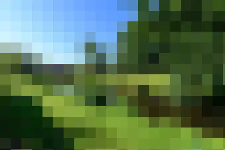 Peter Paulus Rubensstraat 27 Wolvega thumbnail 31