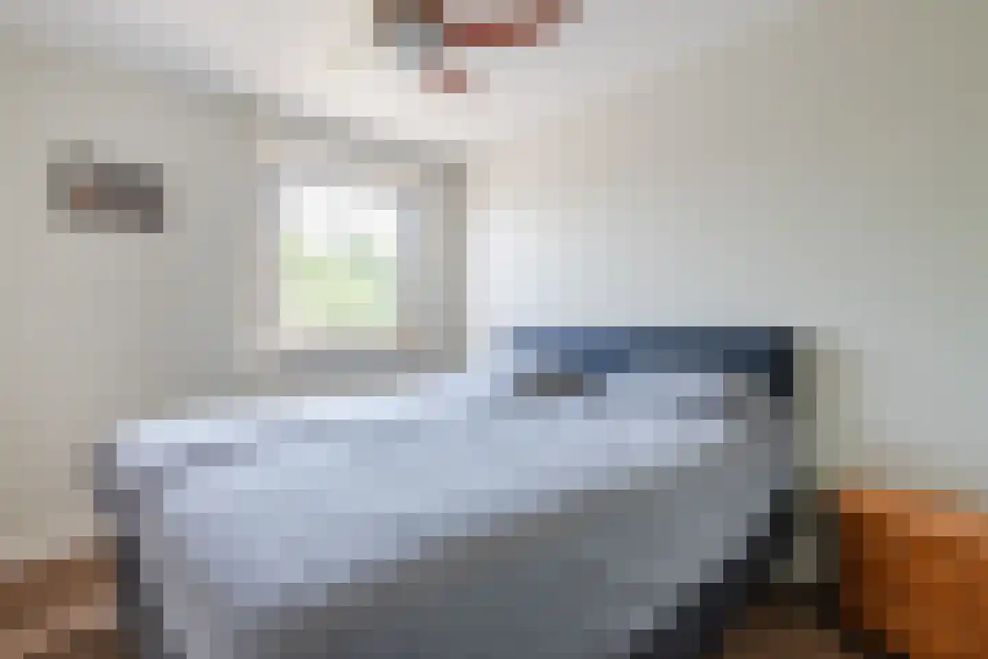 Peter Peterslaan 7 Luyksgestel thumbnail 20
