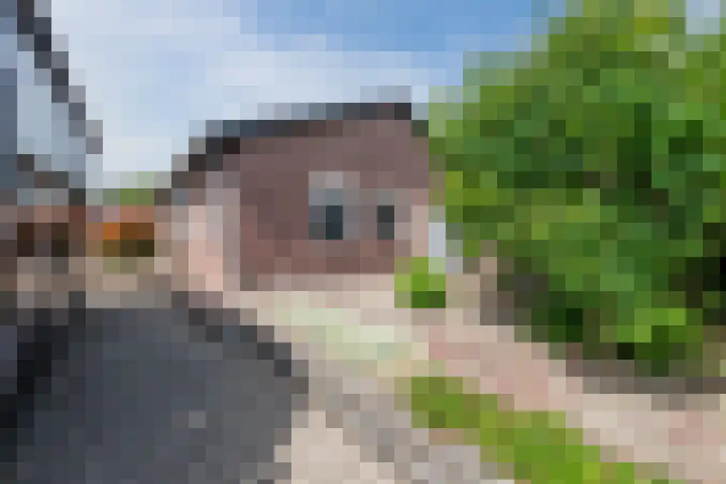 Peter Peterslaan 7 Luyksgestel thumbnail 36