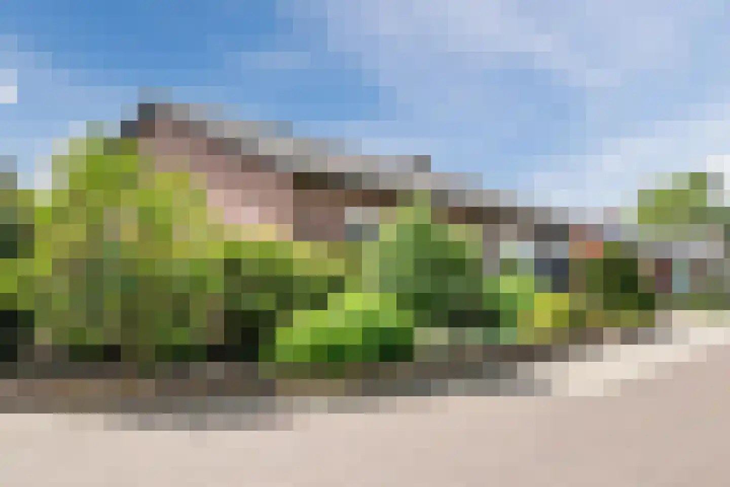 Peter Peterslaan 7 Luyksgestel thumbnail 41