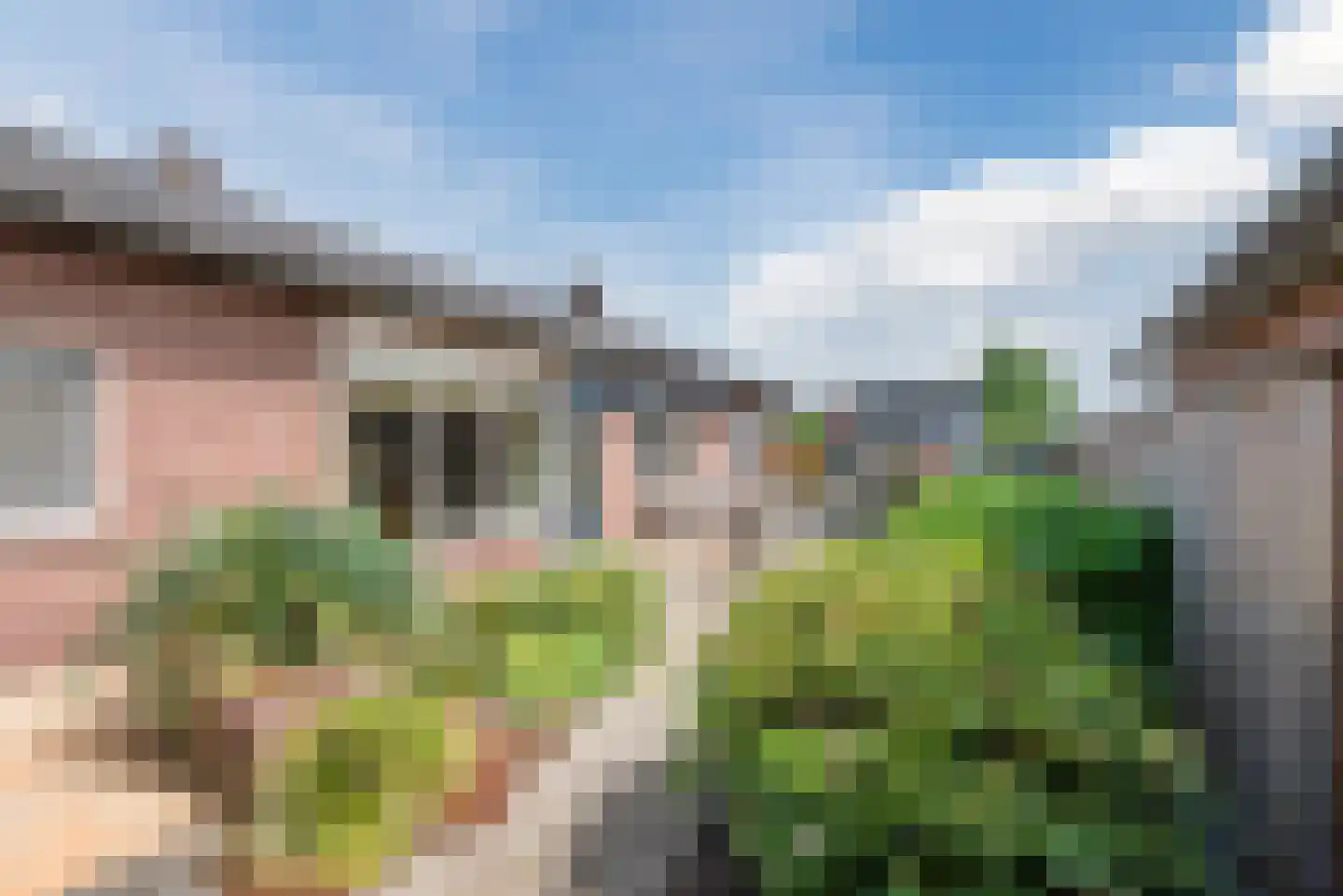 Peter Peterslaan 7 Luyksgestel thumbnail 6