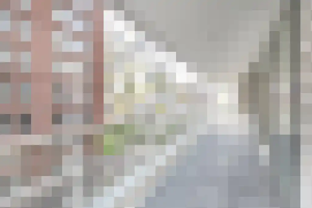 Peter Schatstraat 79 Amsterdam thumbnail 4