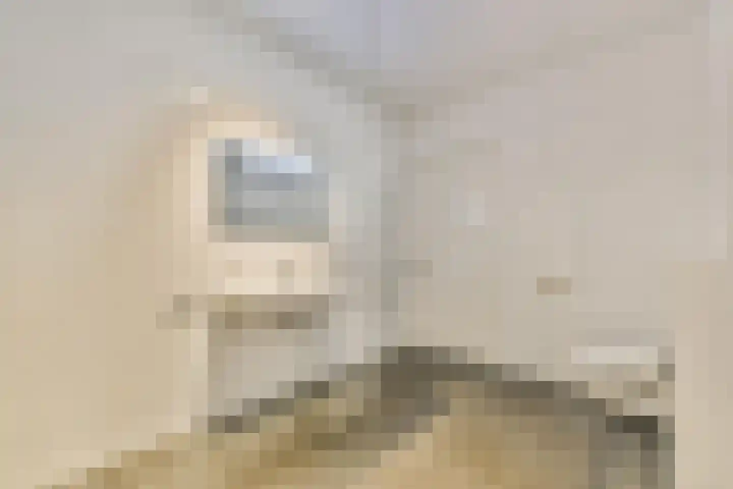Peter Schatstraat 97 Amsterdam thumbnail 22