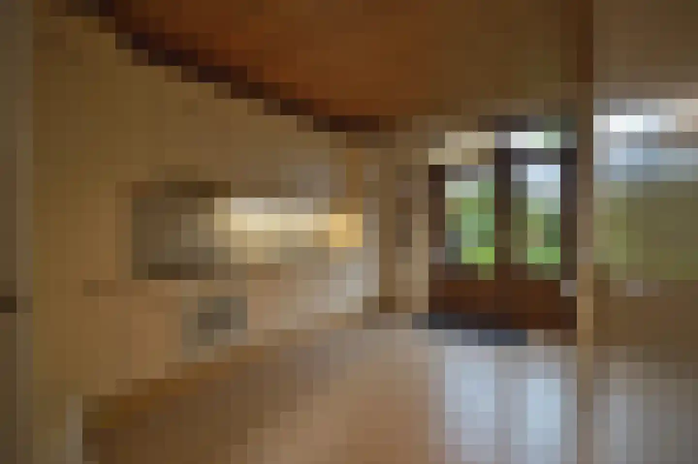 Peter Schunckstraat 53 Heerlen thumbnail 18