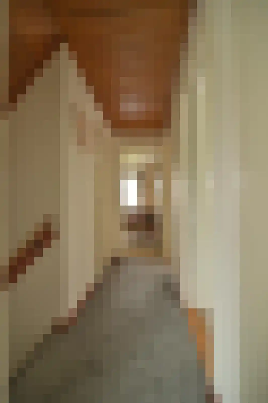 Peter Schunckstraat 53 Heerlen thumbnail 25