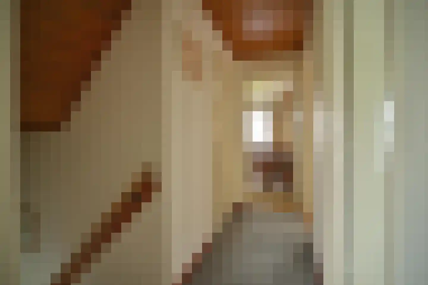 Peter Schunckstraat 53 Heerlen thumbnail 26