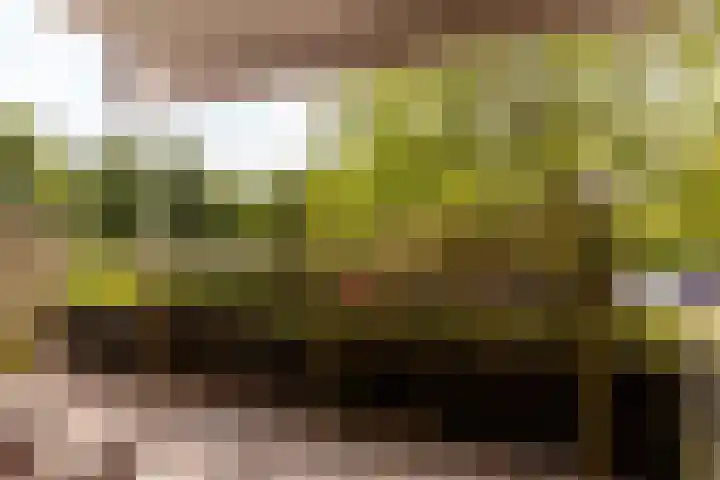 Peter Sellershof 16 Almere thumbnail 20