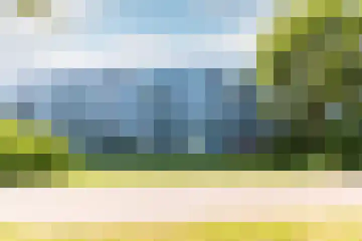 Peter Sellershof 16 Almere thumbnail 24