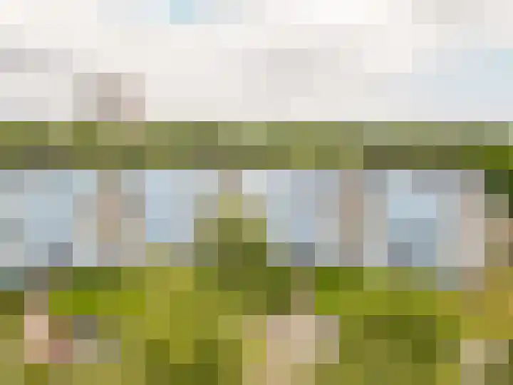 Peter Sellershof 16 Almere thumbnail 25