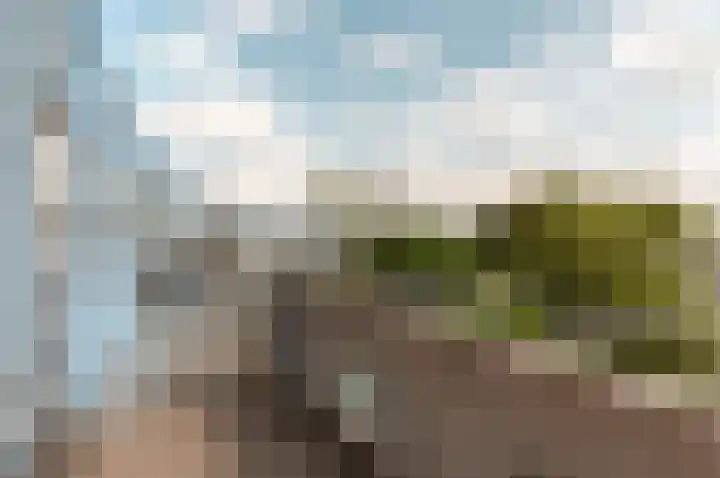 Peter Sellershof 186 Almere thumbnail 14
