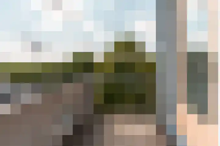 Peter Sellershof 186 Almere thumbnail 15