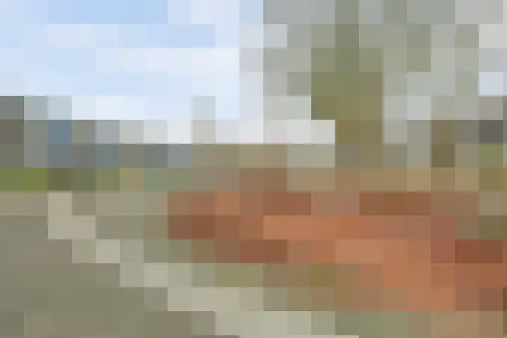 Peter Sellershof 36 Almere thumbnail 26