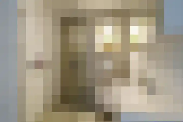 Peter Sellershof 64 Almere thumbnail 13