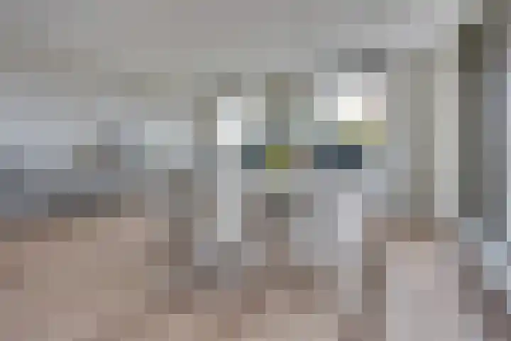 Peter Sellershof 64 Almere thumbnail 15