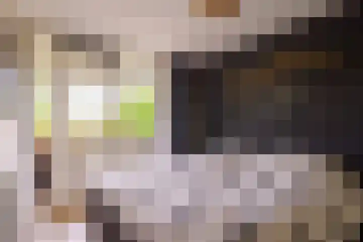Peter Sellershof 64 Almere thumbnail 17