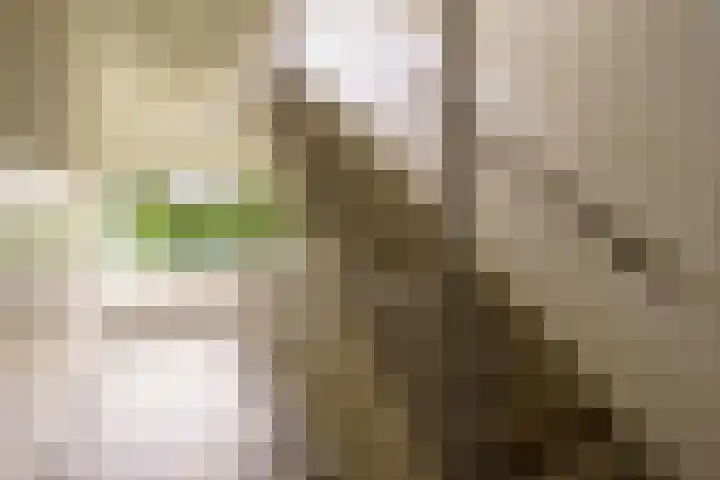 Peter Sellershof 64 Almere thumbnail 23