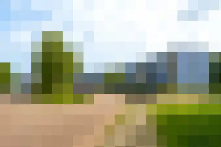 Peter Sellershof 64 Almere thumbnail 32