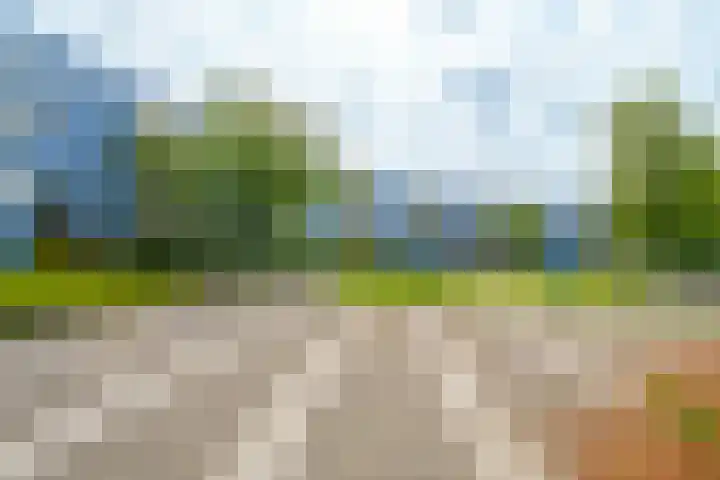 Peter Sellershof 64 Almere thumbnail 33