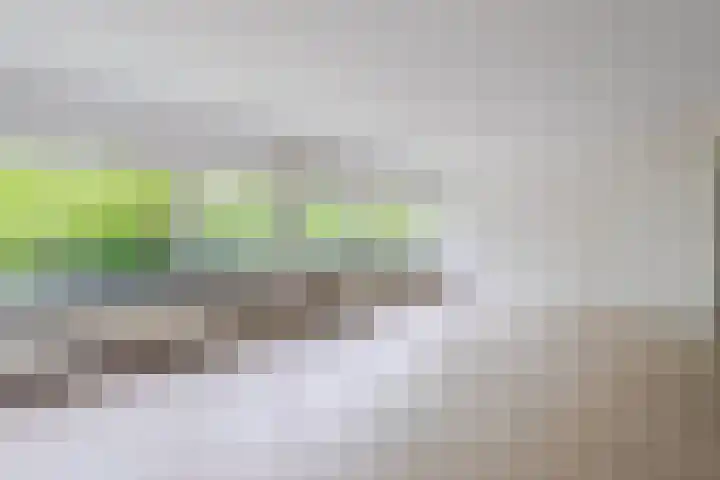 Peter Sellershof 76 Almere thumbnail 16