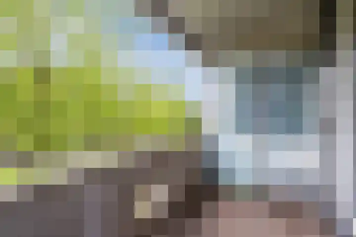 Peter Sellershof 76 Almere thumbnail 19