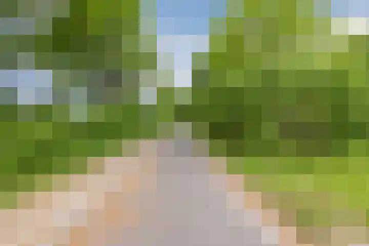 Peter Sellershof 76 Almere thumbnail 27