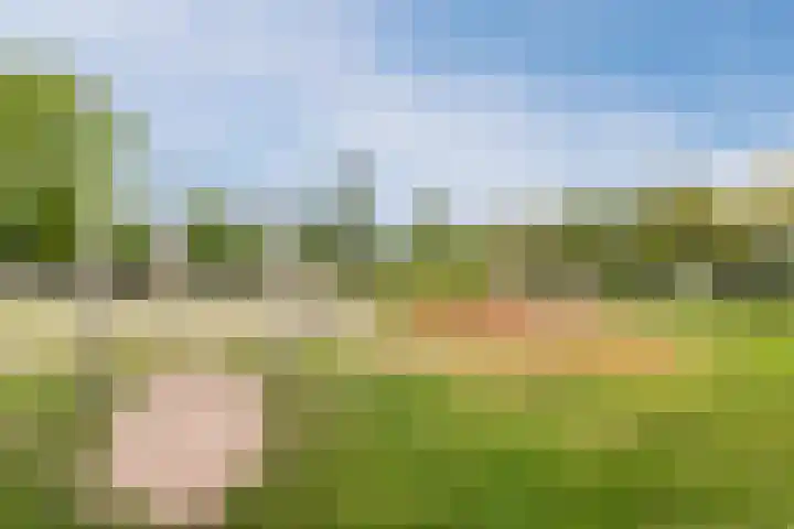Peter Sellershof 76 Almere thumbnail 28