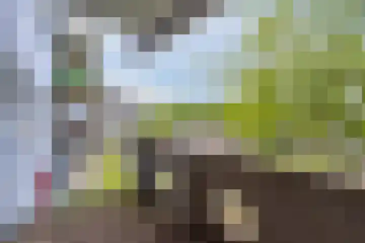 Peter Sellershof 76 Almere thumbnail 7