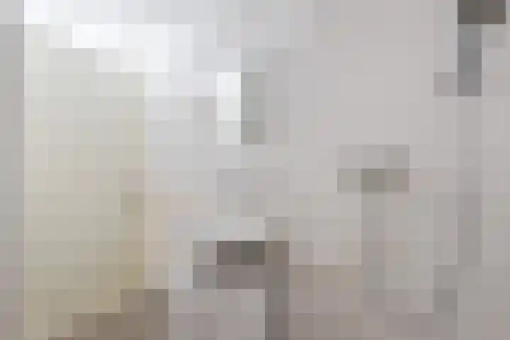Peter Sellershof 76 Almere thumbnail 9