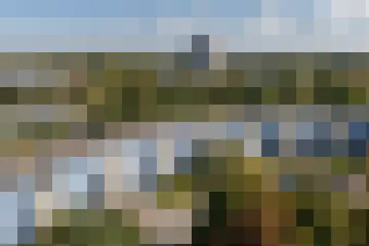 Peter Sellershof 96 Almere thumbnail 30