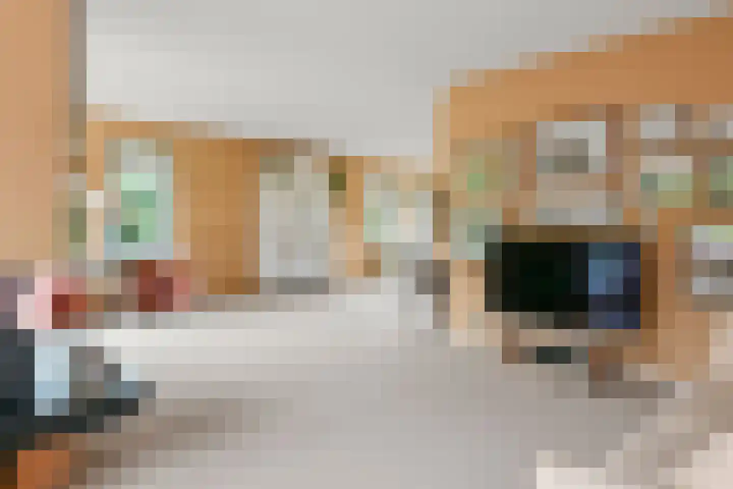 Peter van Anrooyhof 4 Hoofddorp thumbnail 11