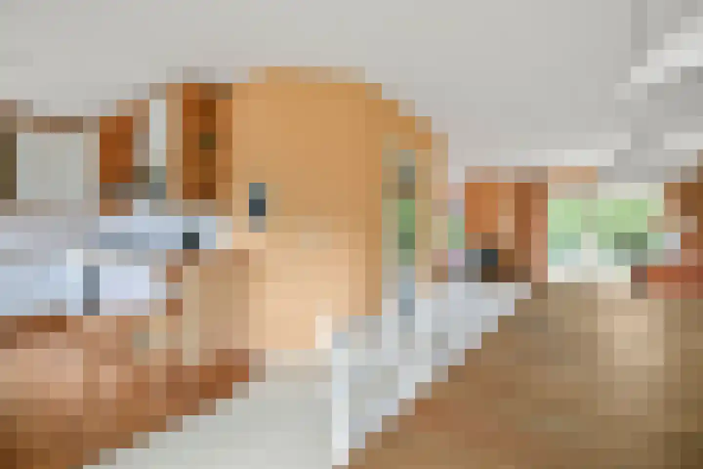 Peter van Anrooyhof 4 Hoofddorp thumbnail 18