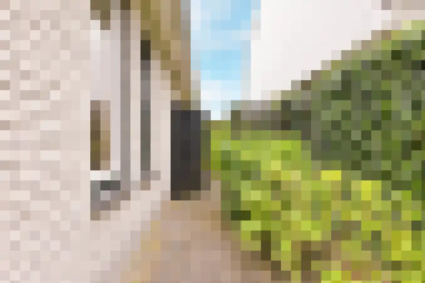 Peter van Anrooyhof 4 Hoofddorp thumbnail 19