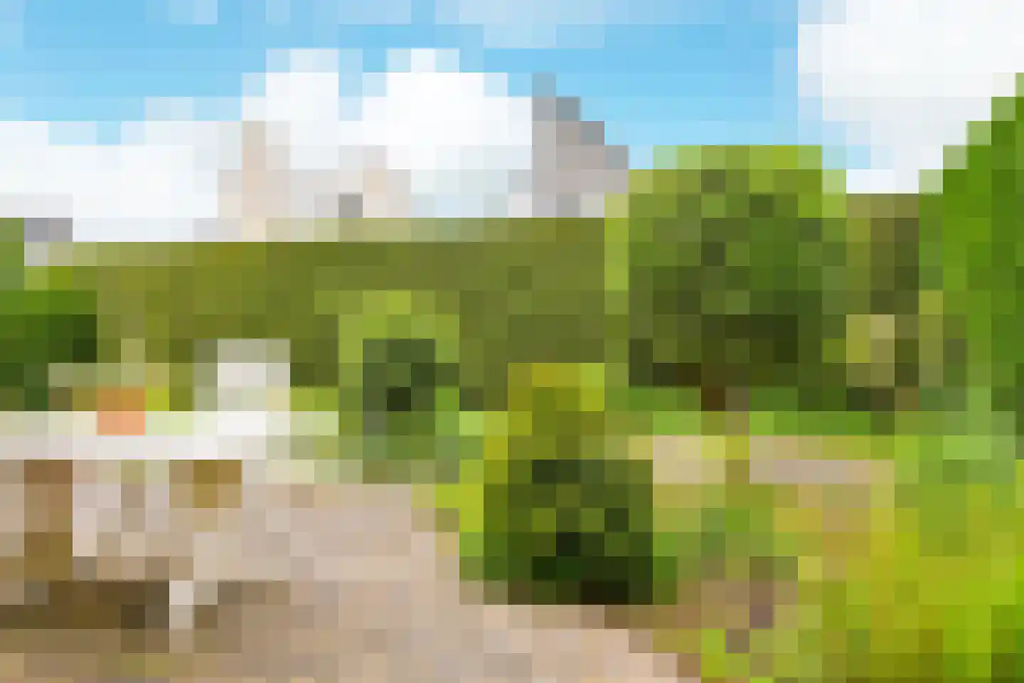 Peter van Anrooyhof 4 Hoofddorp thumbnail 20