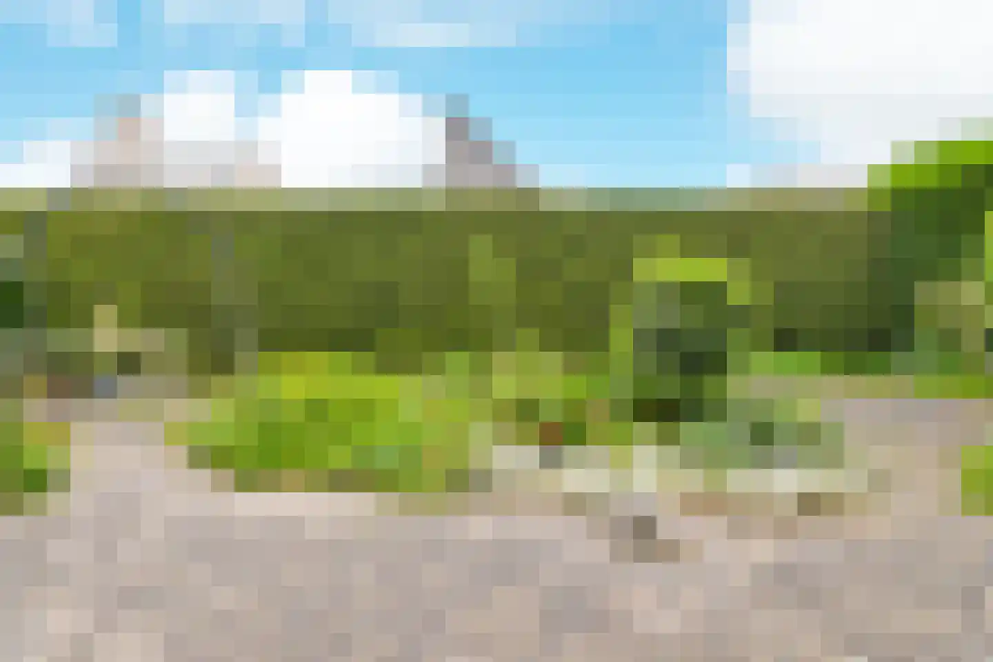 Peter van Anrooyhof 4 Hoofddorp thumbnail 21