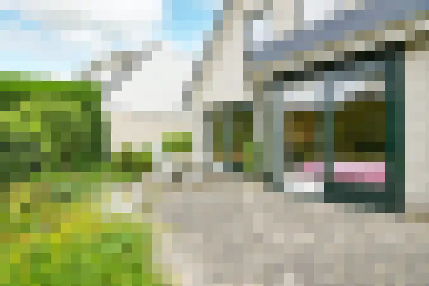 Peter van Anrooyhof 4 Hoofddorp thumbnail 25