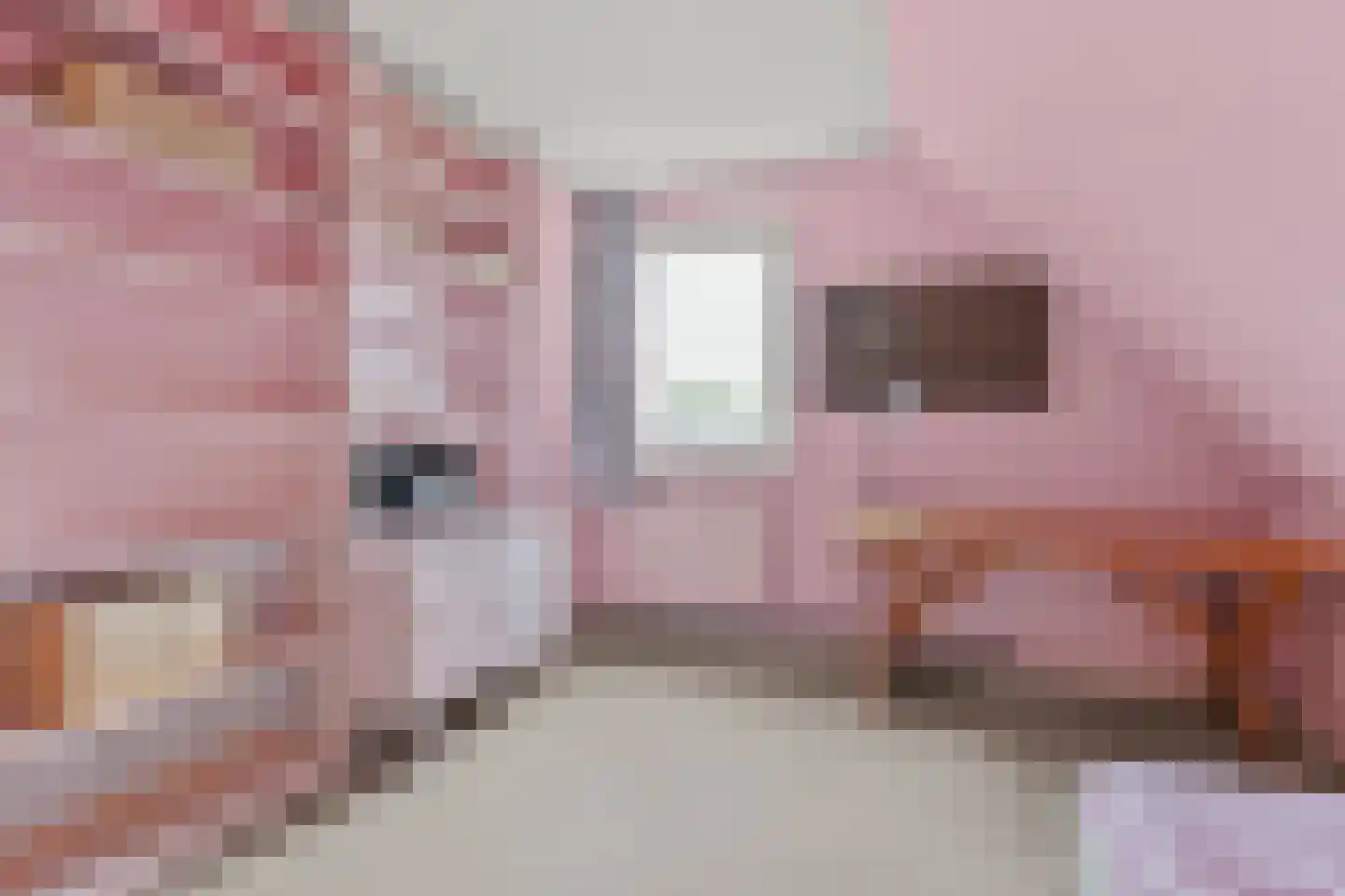 Peter van Anrooyhof 4 Hoofddorp thumbnail 35