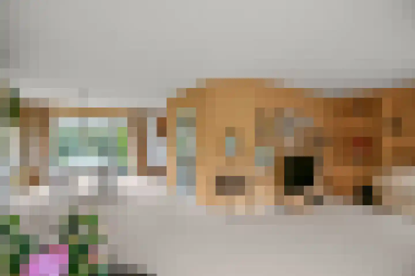 Peter van Anrooyhof 4 Hoofddorp thumbnail 9