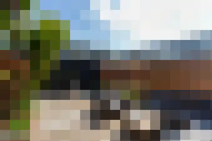 Peter van Anrooylaan 10 Maassluis thumbnail 11