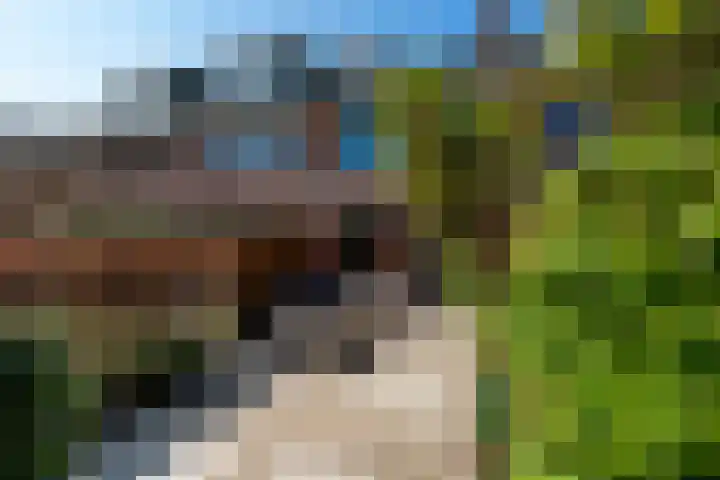 Peter van Anrooylaan 10 Maassluis thumbnail 12