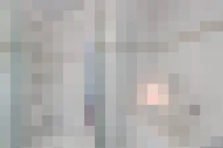 Peter van Anrooylaan 10 Maassluis thumbnail 35