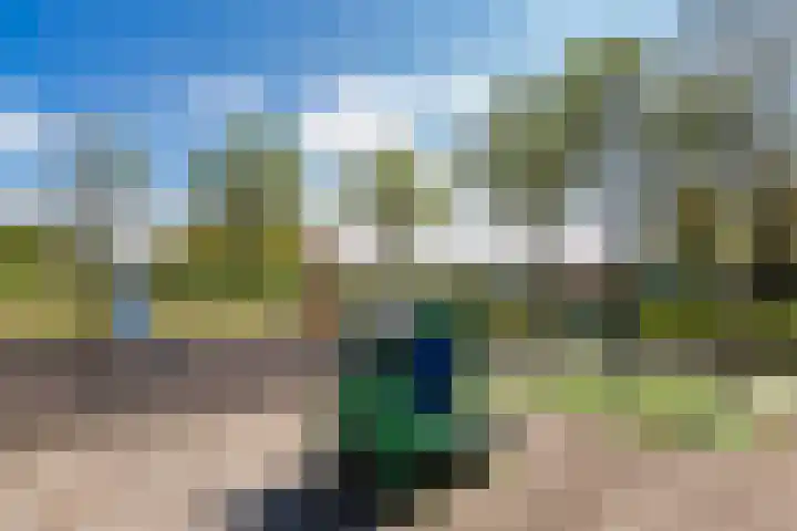 Peter van Anrooylaan 10 Maassluis thumbnail 43
