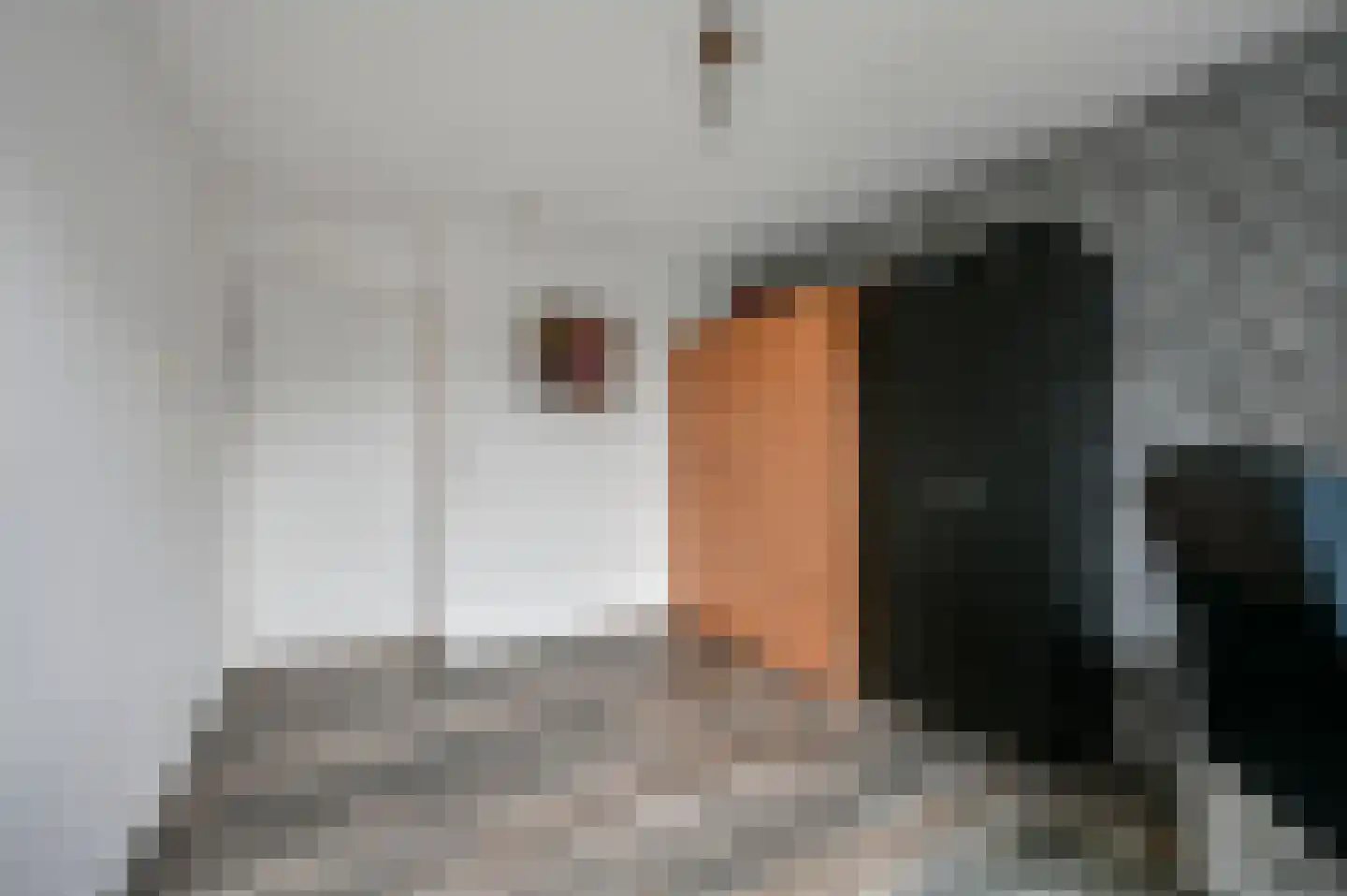 Peter van Anrooylaan 161 Maassluis thumbnail 21