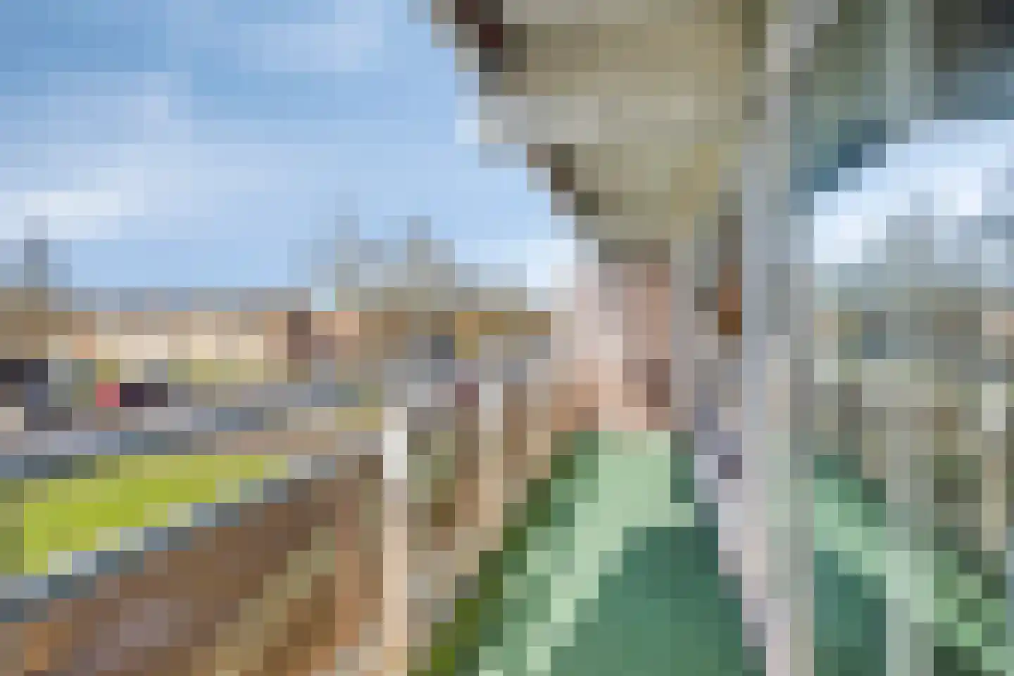 Peter van Anrooylaan 172 Terneuzen thumbnail 14