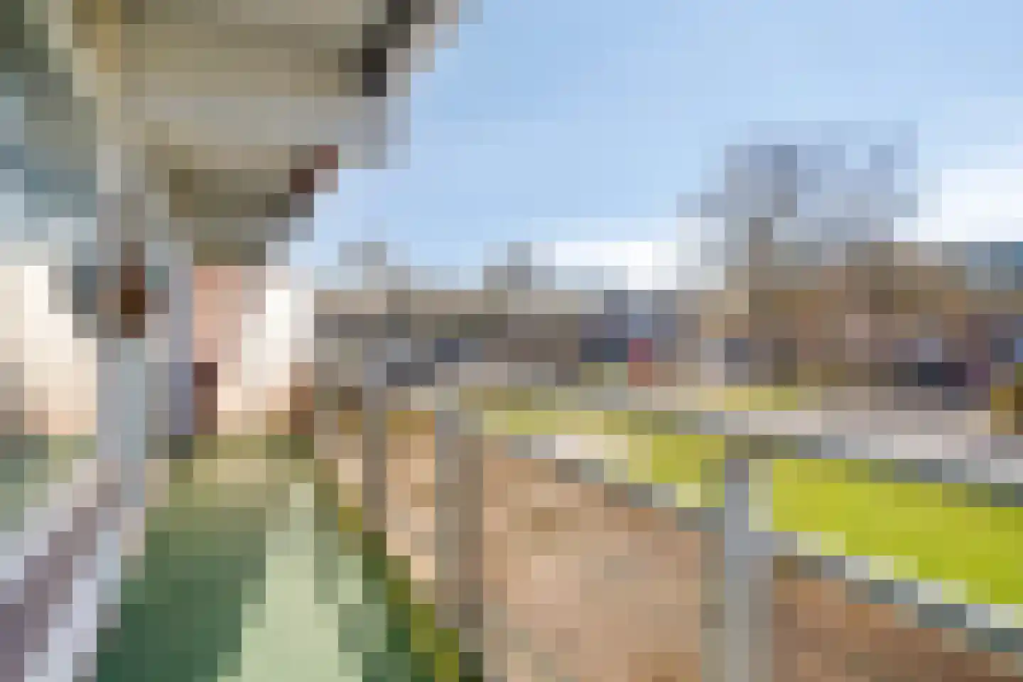 Peter van Anrooylaan 172 Terneuzen thumbnail 15