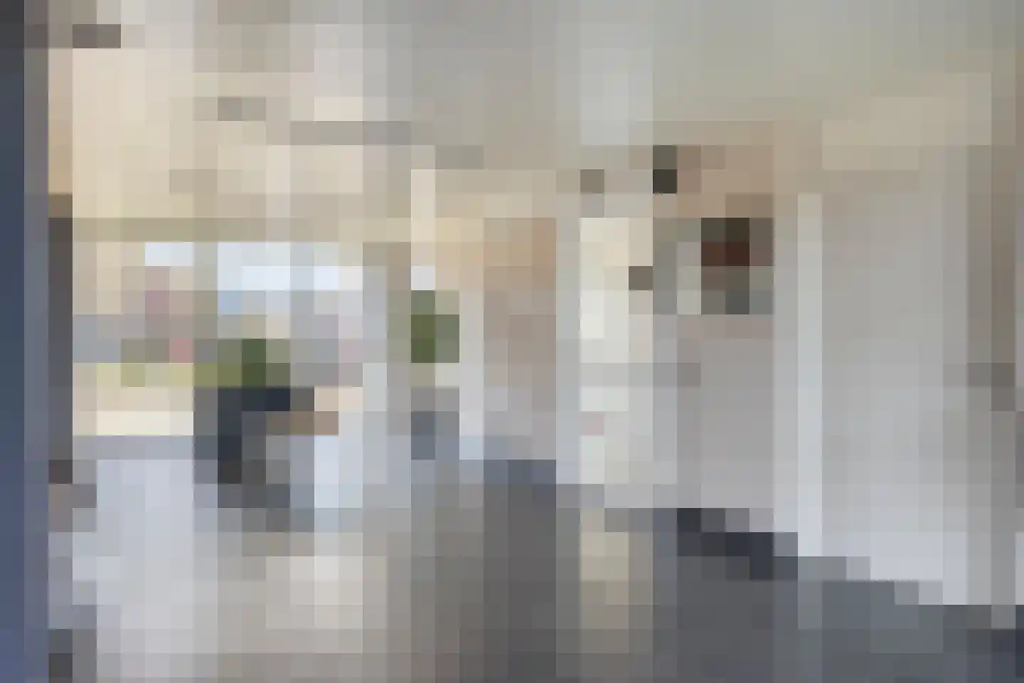 Peter van Anrooylaan 172 Terneuzen thumbnail 16
