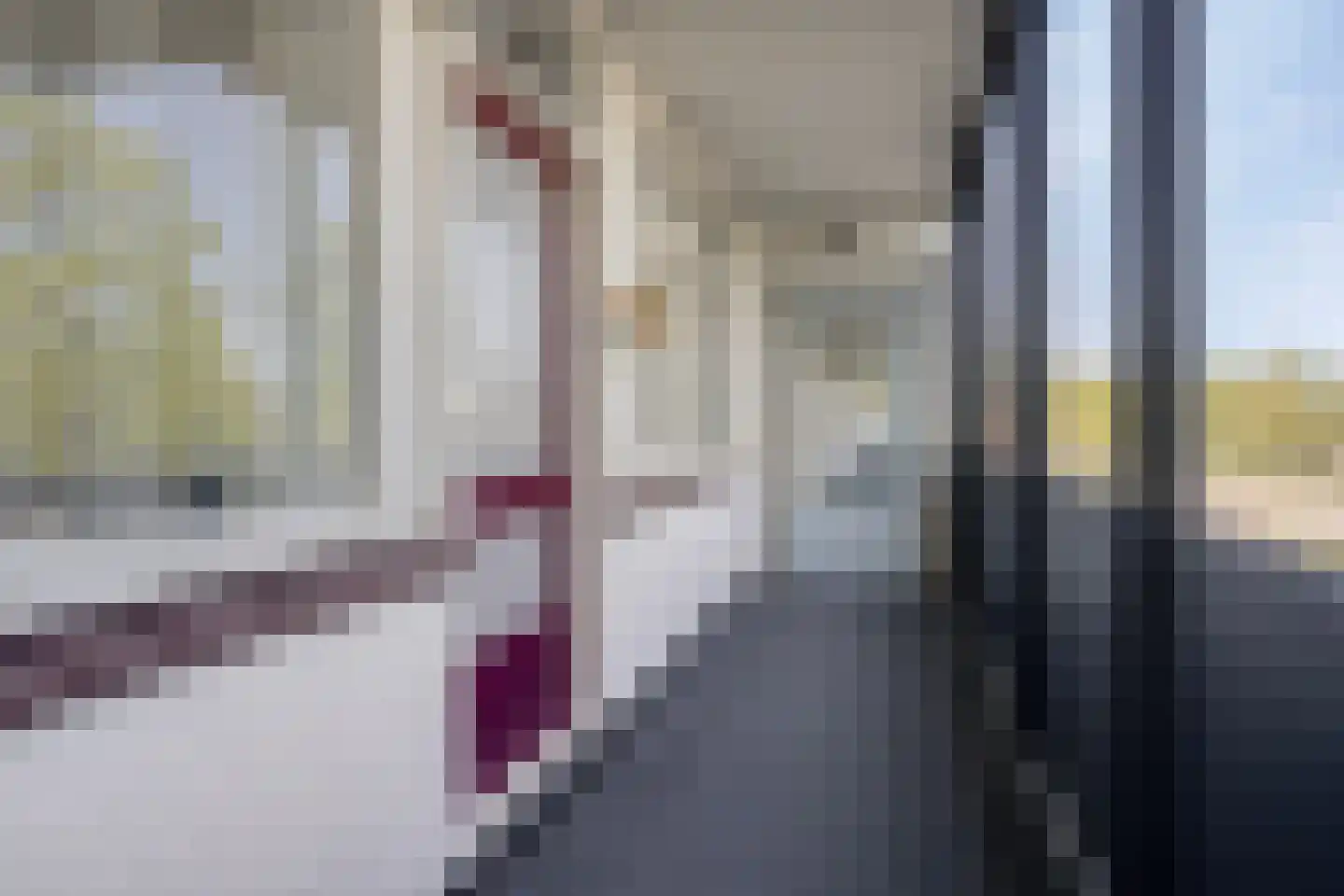 Peter van Anrooylaan 186 Terneuzen thumbnail 12